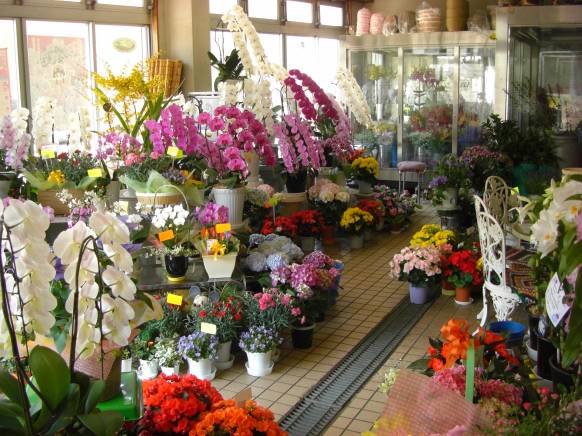 愛知県名古屋市昭和区の花屋 生花乃渡辺にフラワーギフトはお任せください 当店は 安心と信頼の花キューピット加盟店です 花キューピットタウン